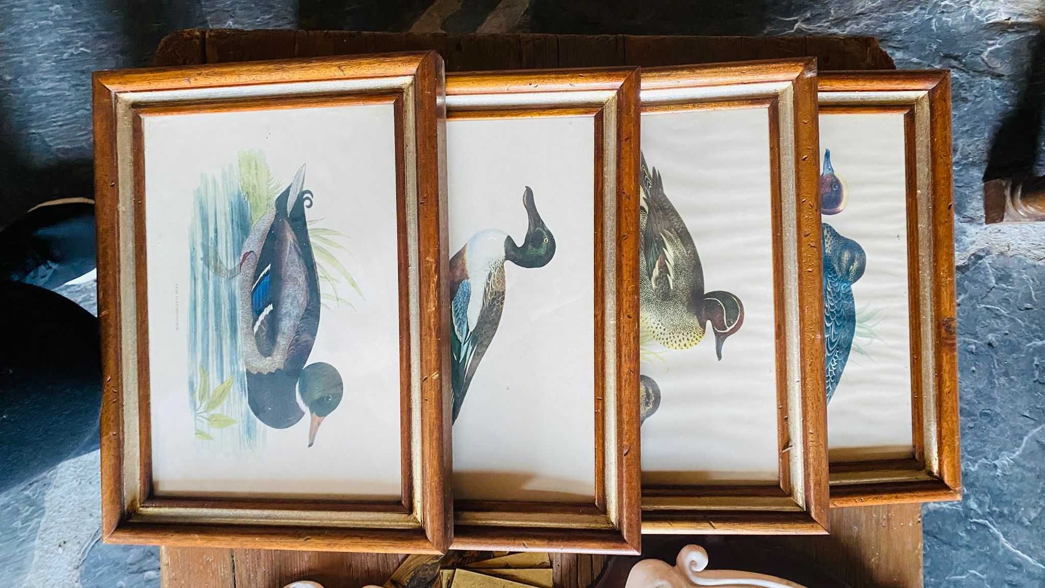 Quadros vários tamanho e conjuntos
