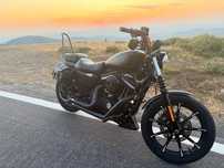 Harley Davidson 883 iron Sportster 2019