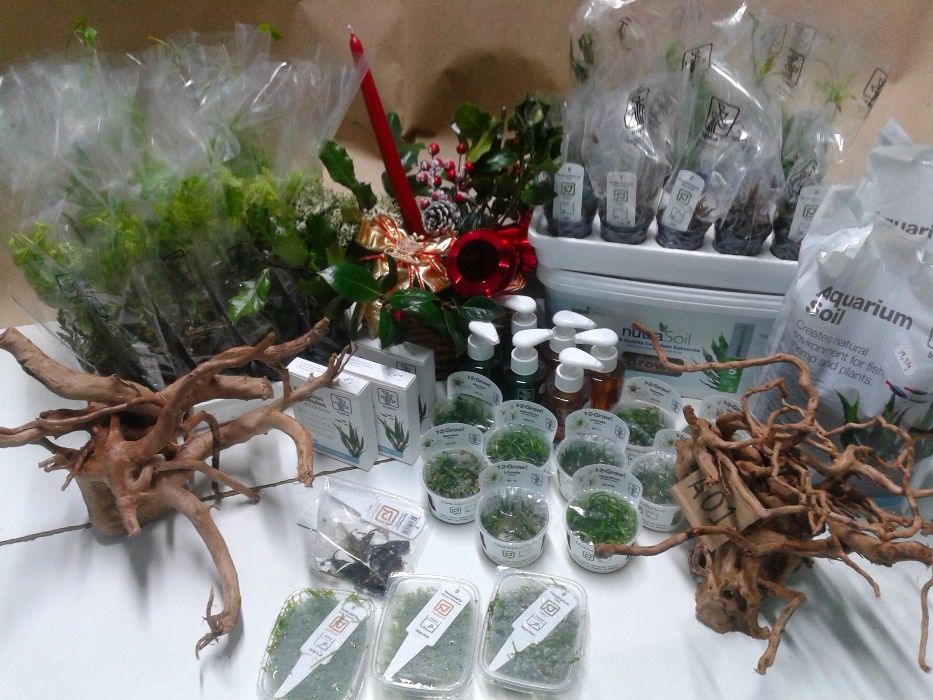 Peixes . Camarões . Tropica Aquarium Soil . Plantas