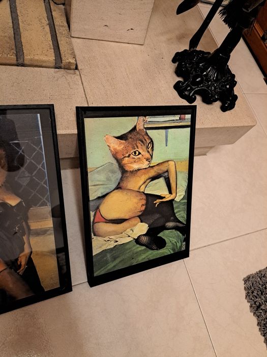 4 molduras cat PIN-up