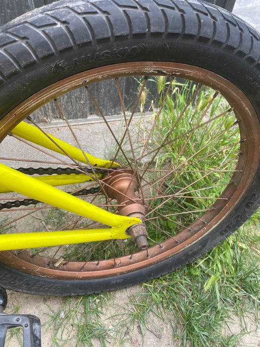 witam mam na sprzedaż rovera