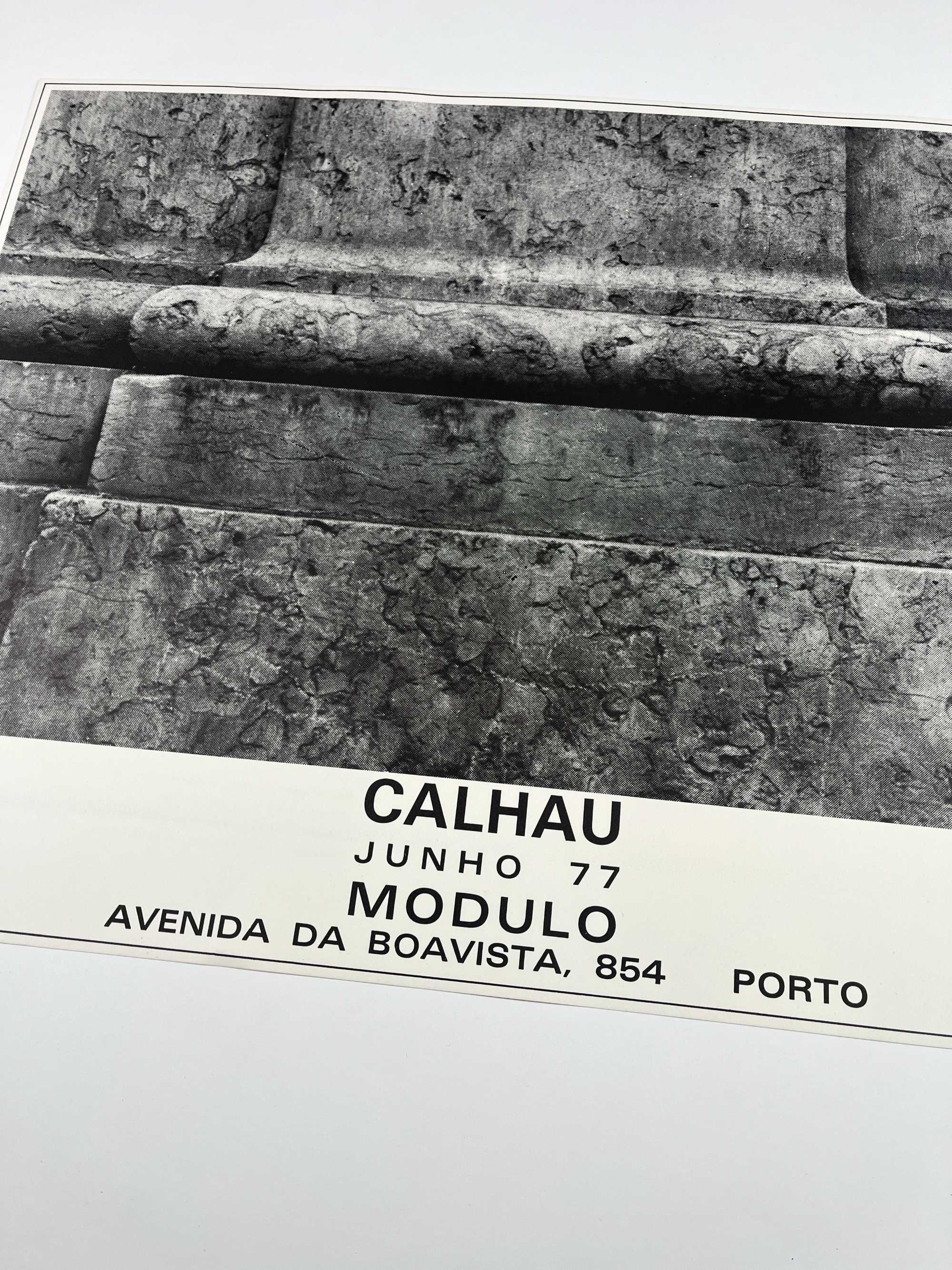 Fernando Calhau Cartaz da exposição Galeria Modulo Porto 1977