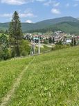 Земельна ділянка с. Паляниця (Буковель)