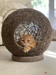 Домик для кошки собаки, кошачий домик кокон