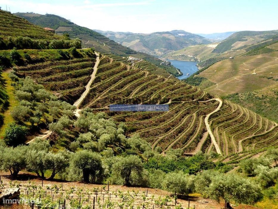 Ruína para restaurar em terreno de 3.500m2 com oliveiras. Portugal,...