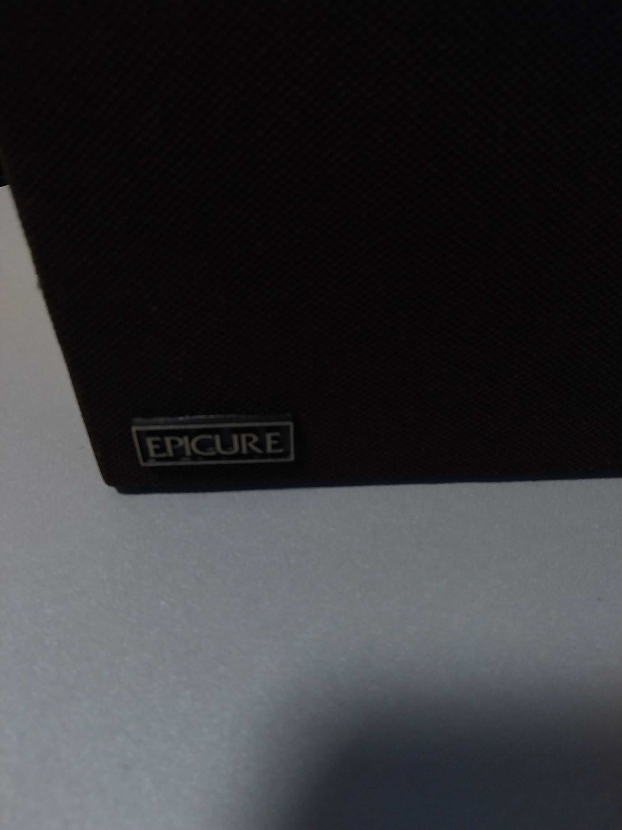 Kolumna monitor Epicure Model Five 1 szt.