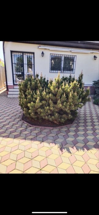 Сдам дом в Совиньоне 2