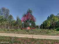 Terreno com 8.560m2