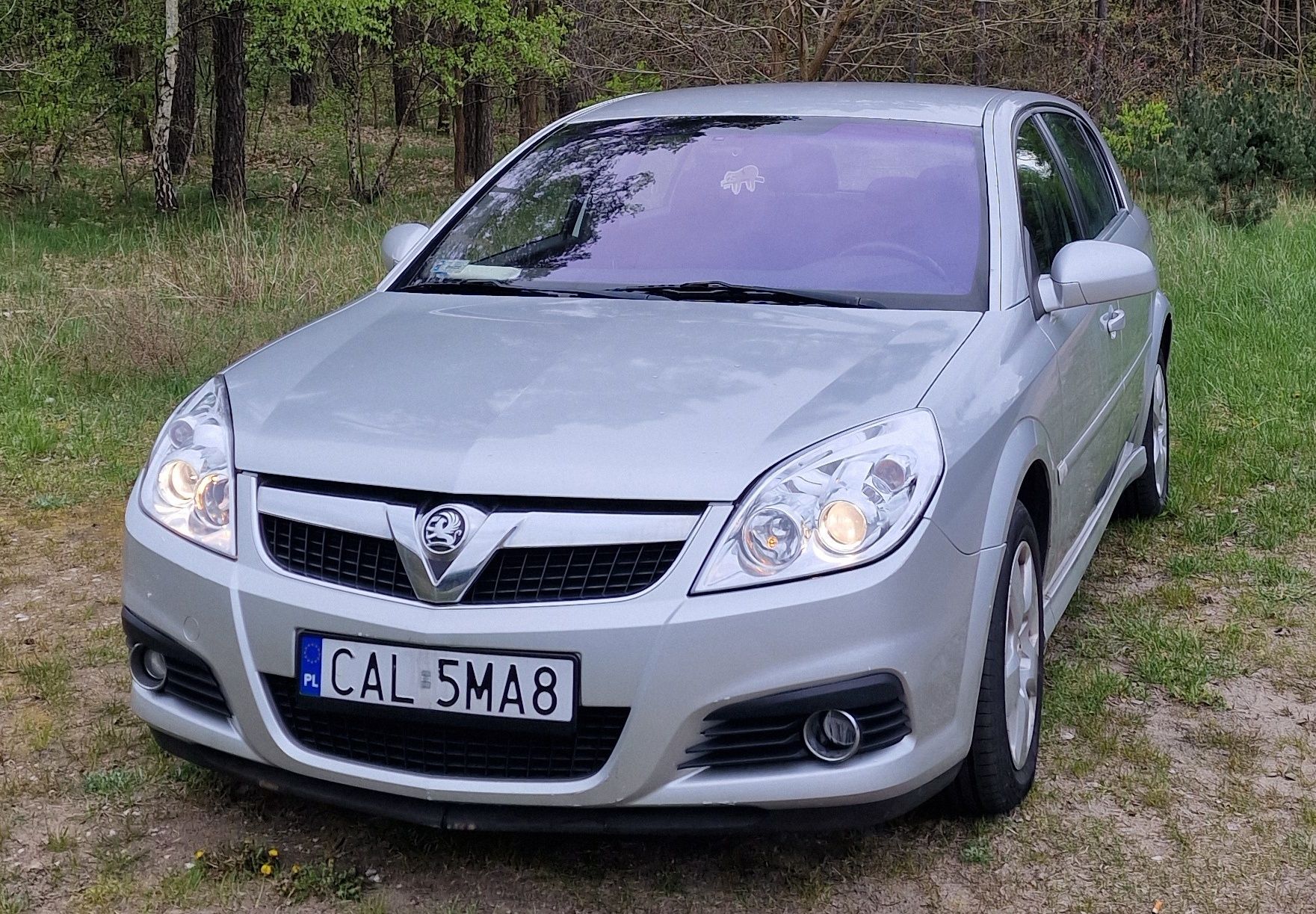 Opel Signum 1.9 CDTI po Lifcie.