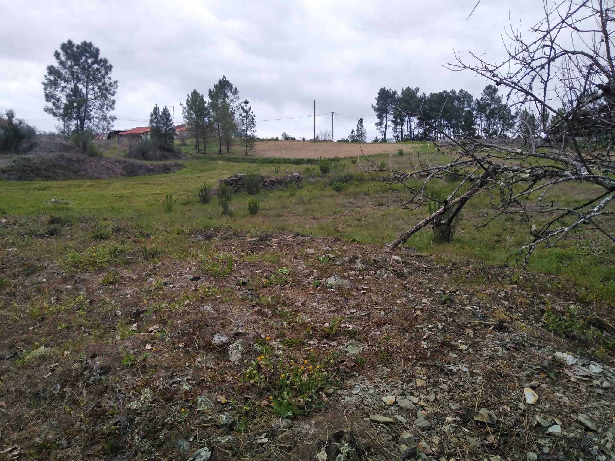 Vendo terreno no Vilar do Ruivo