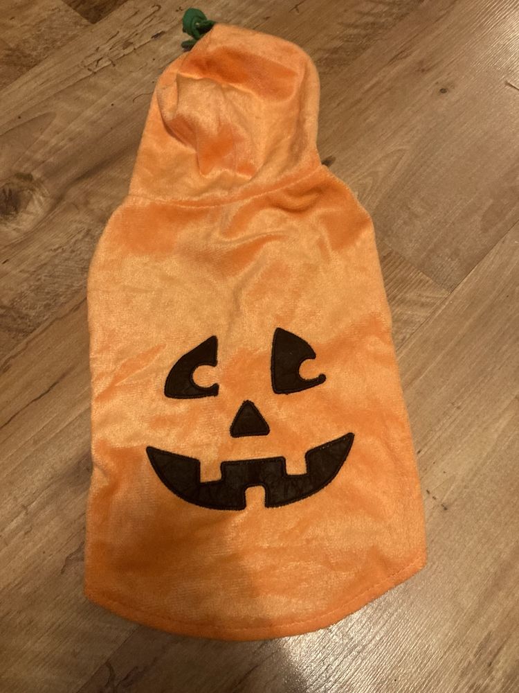 ubranko dla pieska halloween