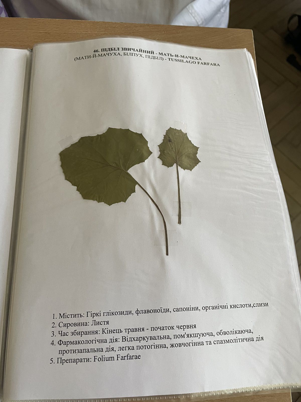 Гербарій для студентів. Лікарська сировина