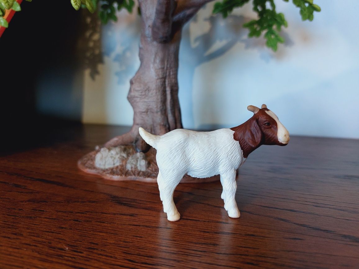 Koza Burska schleich