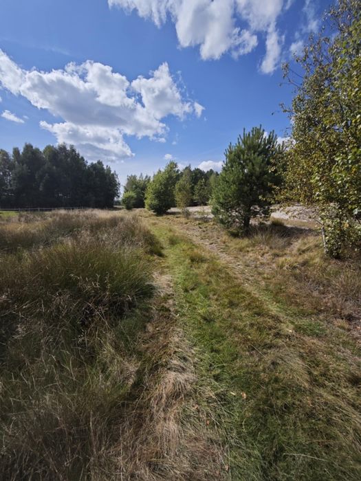 Działka rolno budowlana przy lesie Roździn