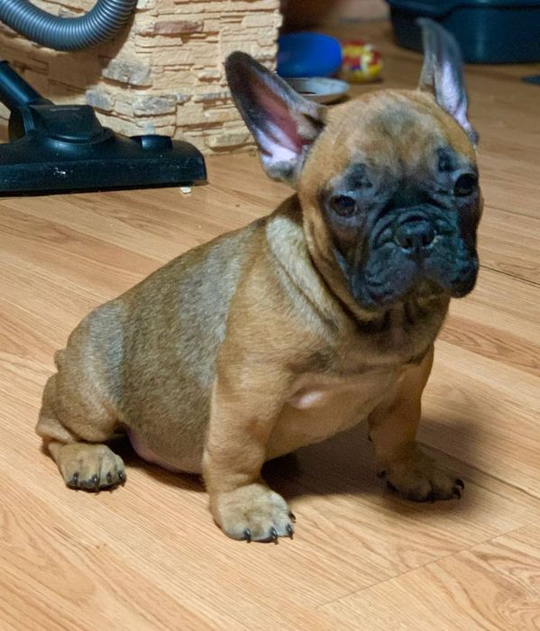 Красивый парнишка.