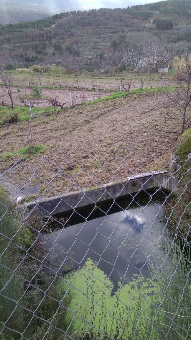 Quinta de st.domingos