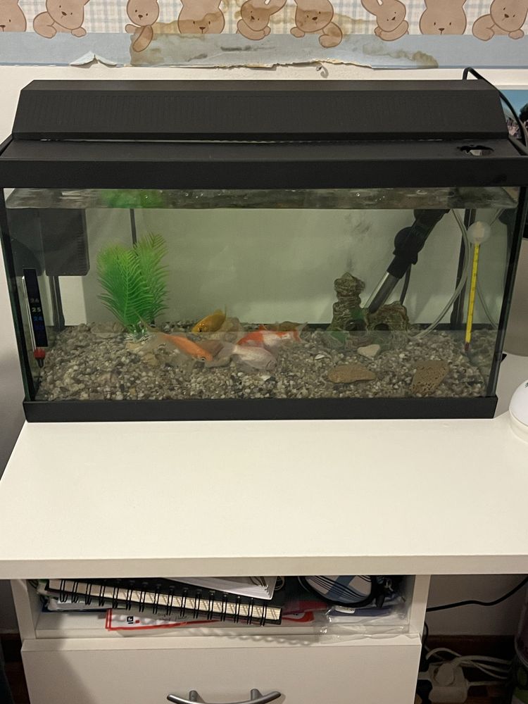 Aquario 30 litros (50x25x30)