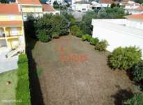 Terreno - Minde