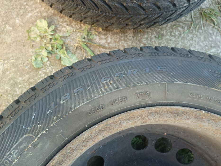 Komplet opon zimowych na felgach Dębica Frigo 2 Opel Astra Dębica Frig