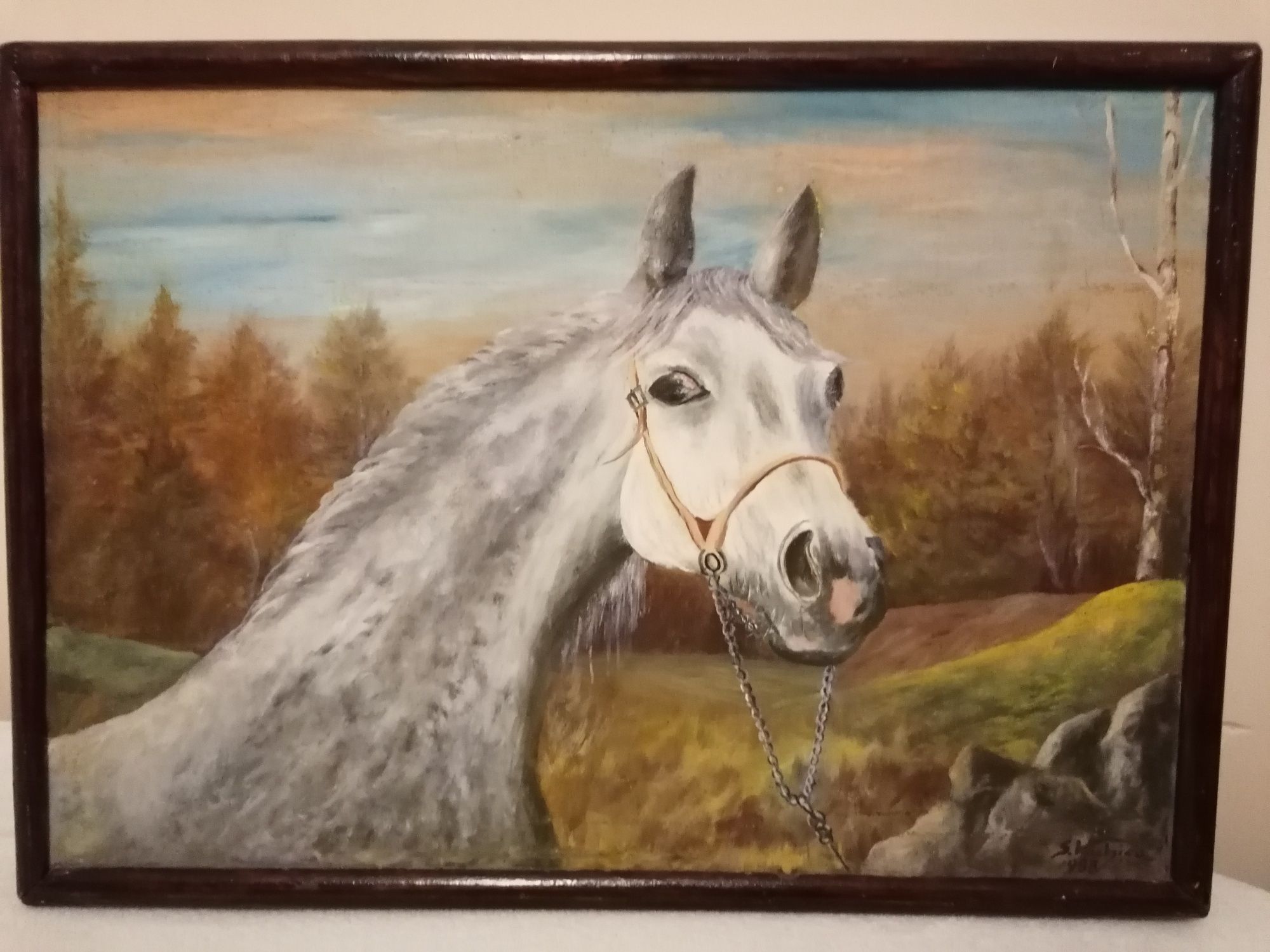 Obraz olejny duży szary koń 52 x 37 idealny na szara ścianę!