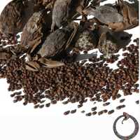 Pimenta da costa – grãos, Ataré, Aframomum melegueta  (10 g)