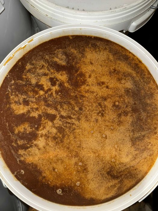 Miód w wiadrach z własnej pasieki. Hurt