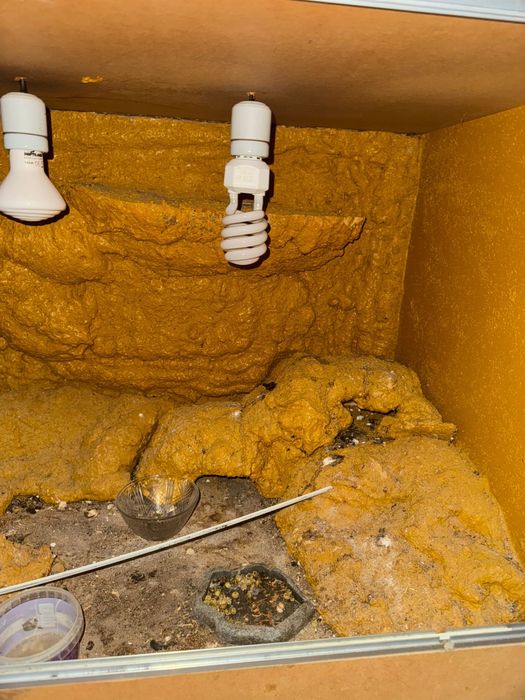 Terrario para repteis