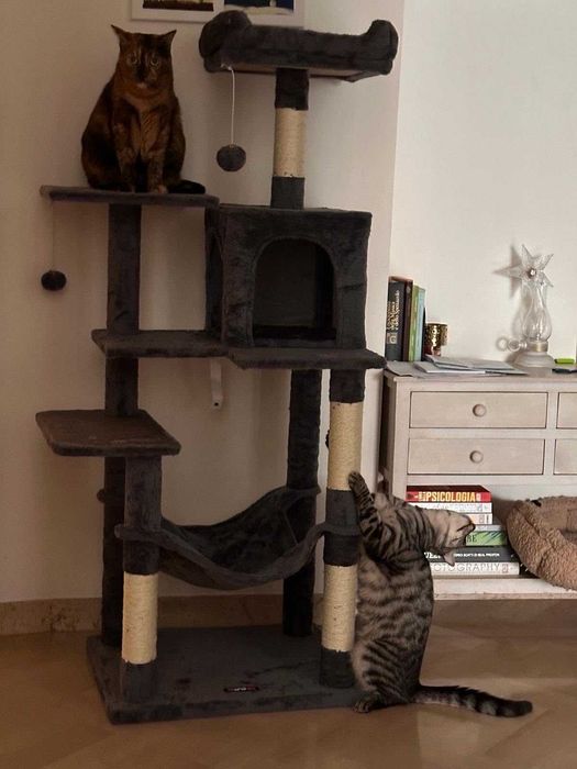 Drapak dla kota duży wysoki drapak NOWY dla kota domek legowisko NOWY