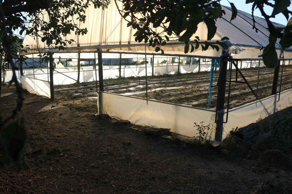 Terreno para Cultivo c/ Estufas
