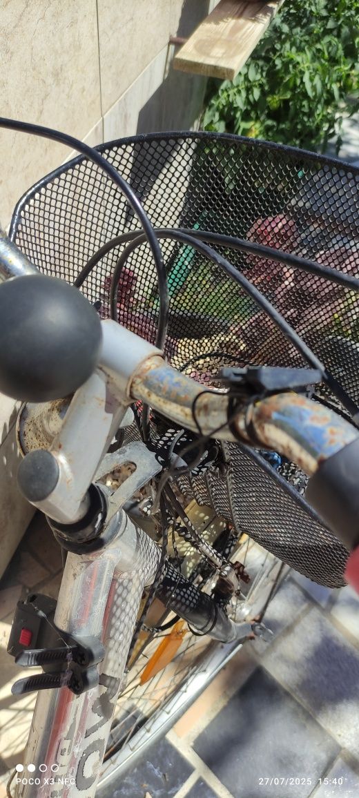 Bicicleta Antiga