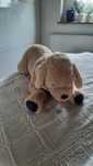 Maskotka pies Golden Retriever Ikea GOSIG