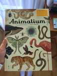 Animalium książka atlas nowe