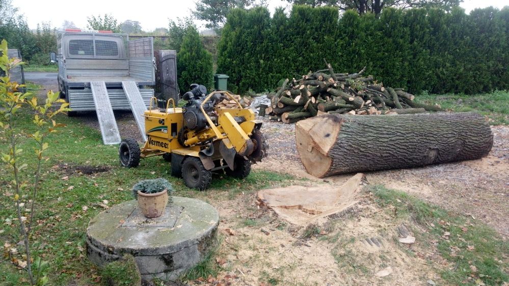 Wycinka i pielęgnacja drzew krzewów i żywopłotów. Frezowanie pni.