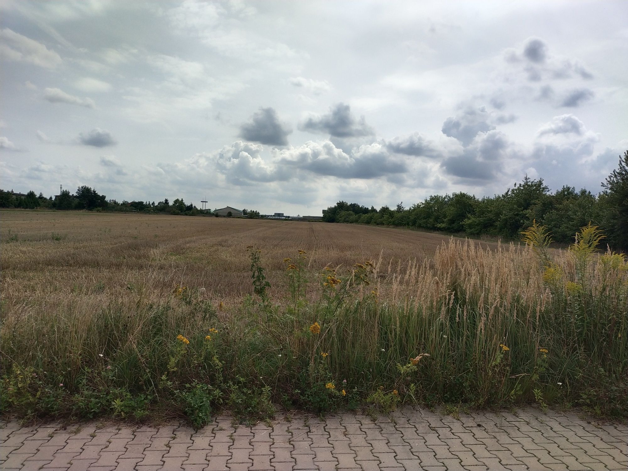 Sprzedam działkę  inwestycyjną.. jest w Rzgowie ul.Reja16631m mieszkan
