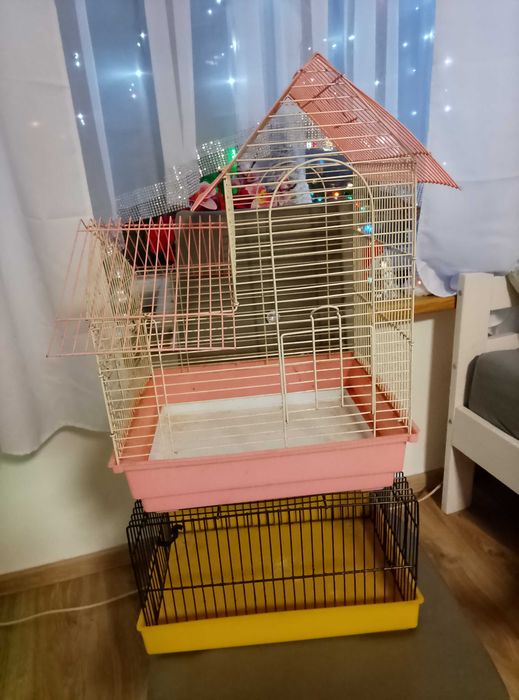 Oddam za darmo dwie klatki