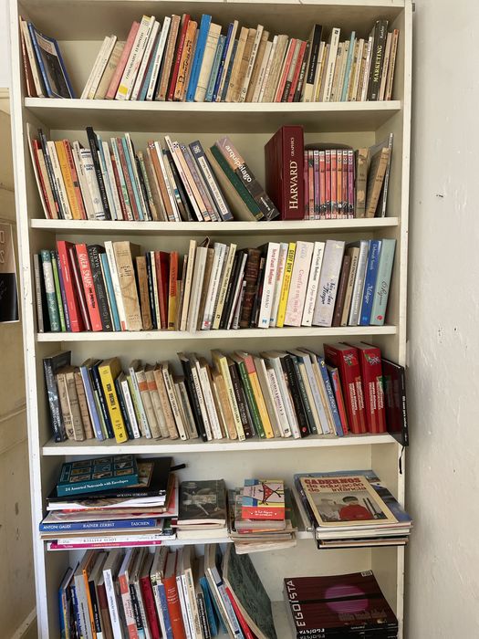 Estante junto com livros ( 210x30 cm)