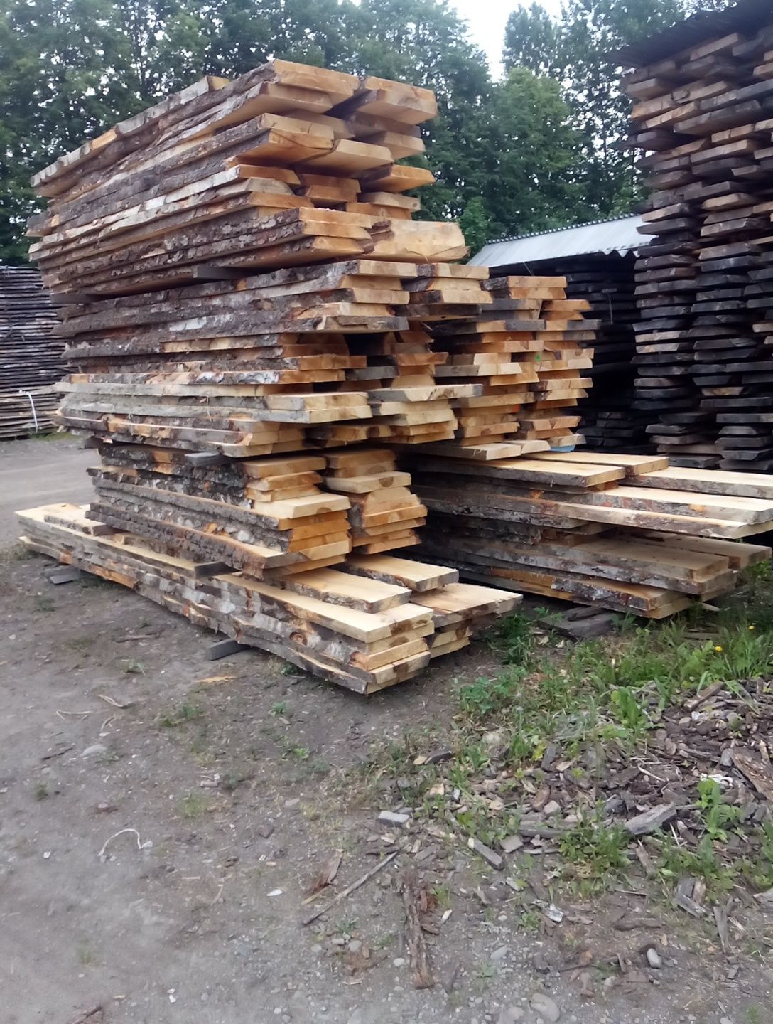 Brzoza foszty 50  deska calówka i 25 sezonowane