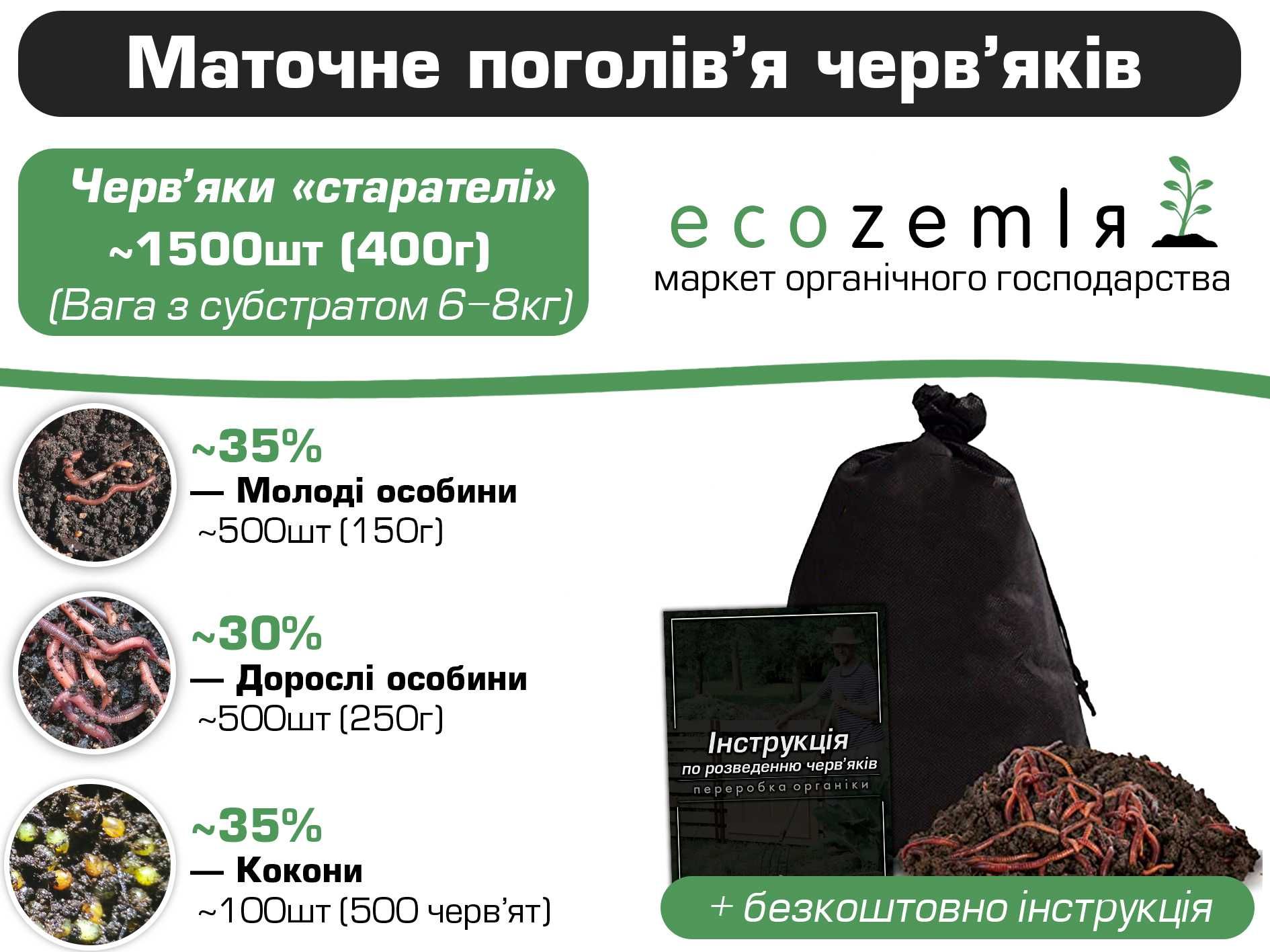 Хробаки для біогумусу, для компосту черви старатель, сім'я 1500шт