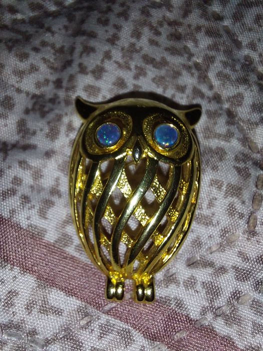 Брожки сова , метелик