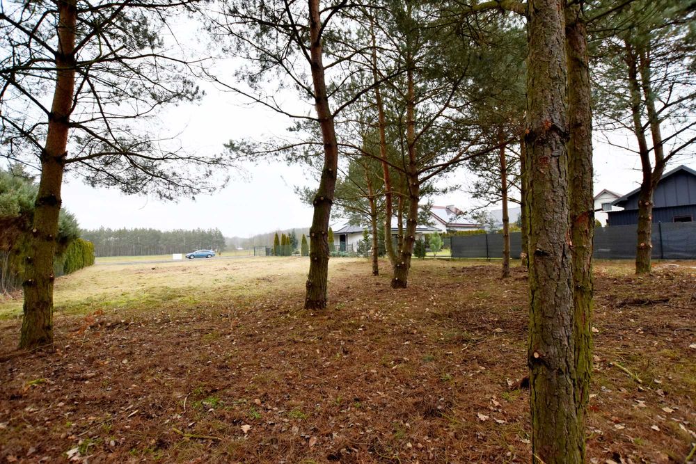 Działka na sprzedaż, Zamek Bierzgłowski