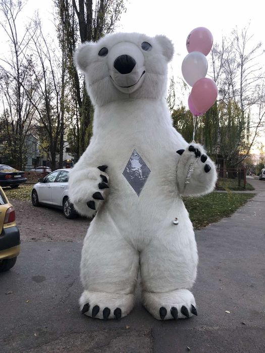 День Рождения. Детский праздник. Сюрприз Поздравления Аниматор Мишка