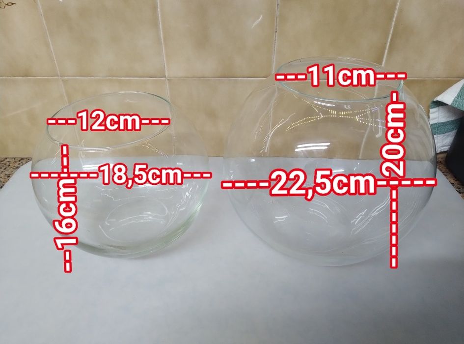 Aquário taça de vidro terrário vaso jarra casa quarto apartamento.