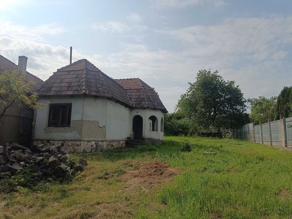 АВТЕНТИЧНИЙ компактний будинок 42 сотки землі с. Астей 7 км. Берегово!