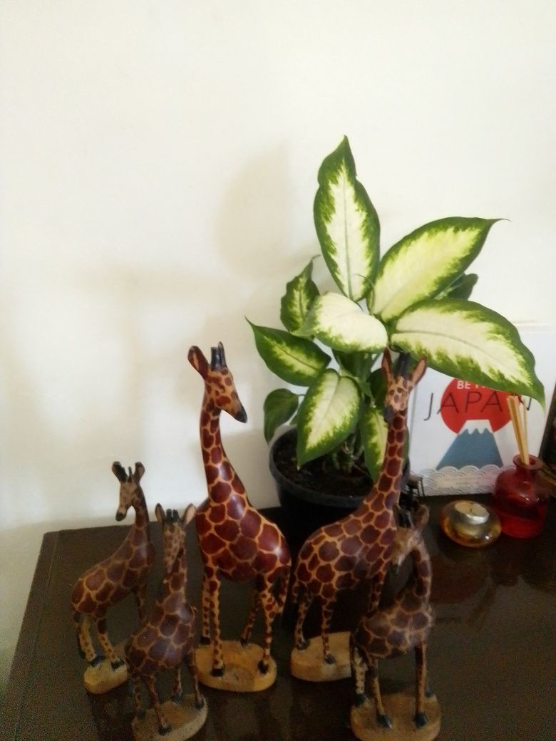 Girafas em madeira,novas, artesanato africano