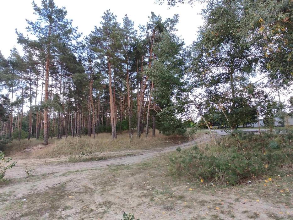 участок от Черкасс за свидивок сокирна с Елизаветовка выход в Днепр