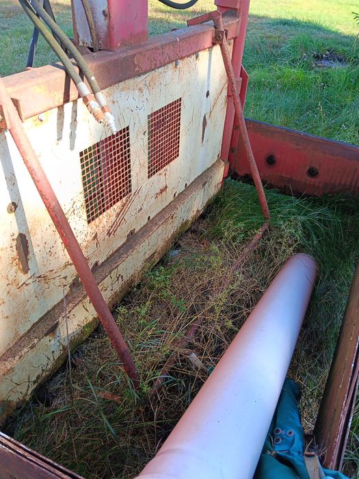 Wicinak bvl sprzedam