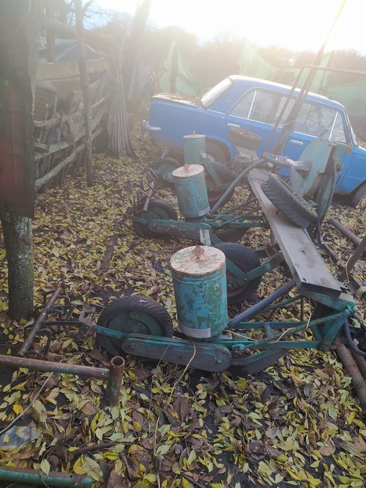 Гарбузова сівалка