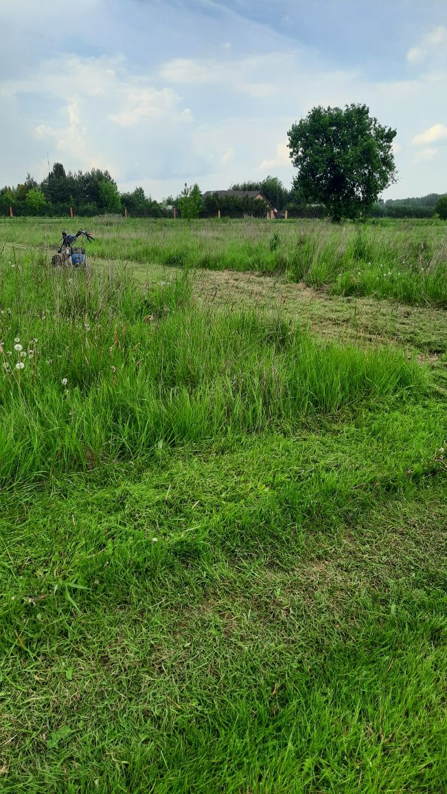 Koszenie, karczowanie nieużytków