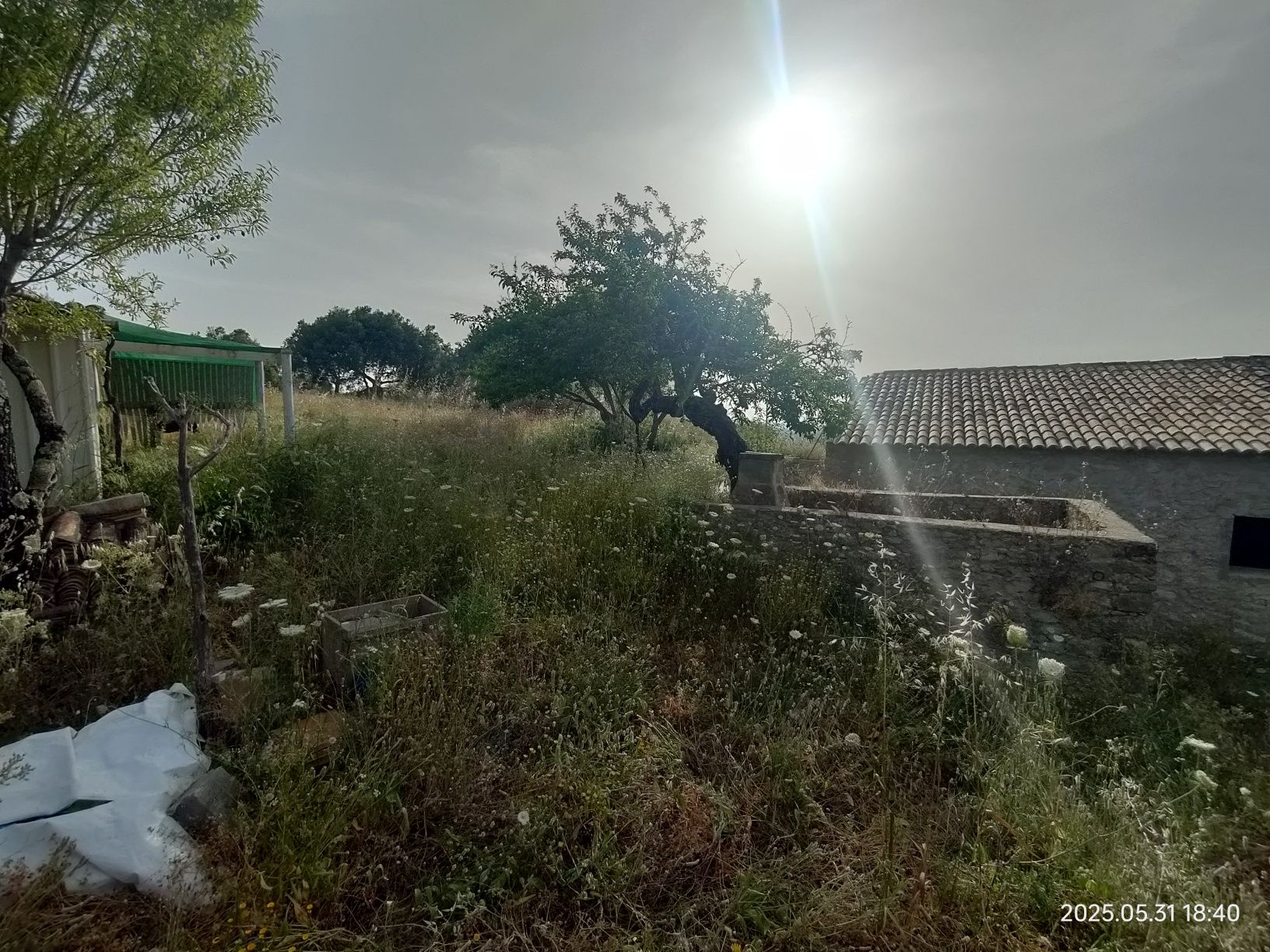 Ruina com terreno na Picota
