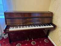Продам фортепіано Petrof (Чехія) б/у, в гарному стані.
